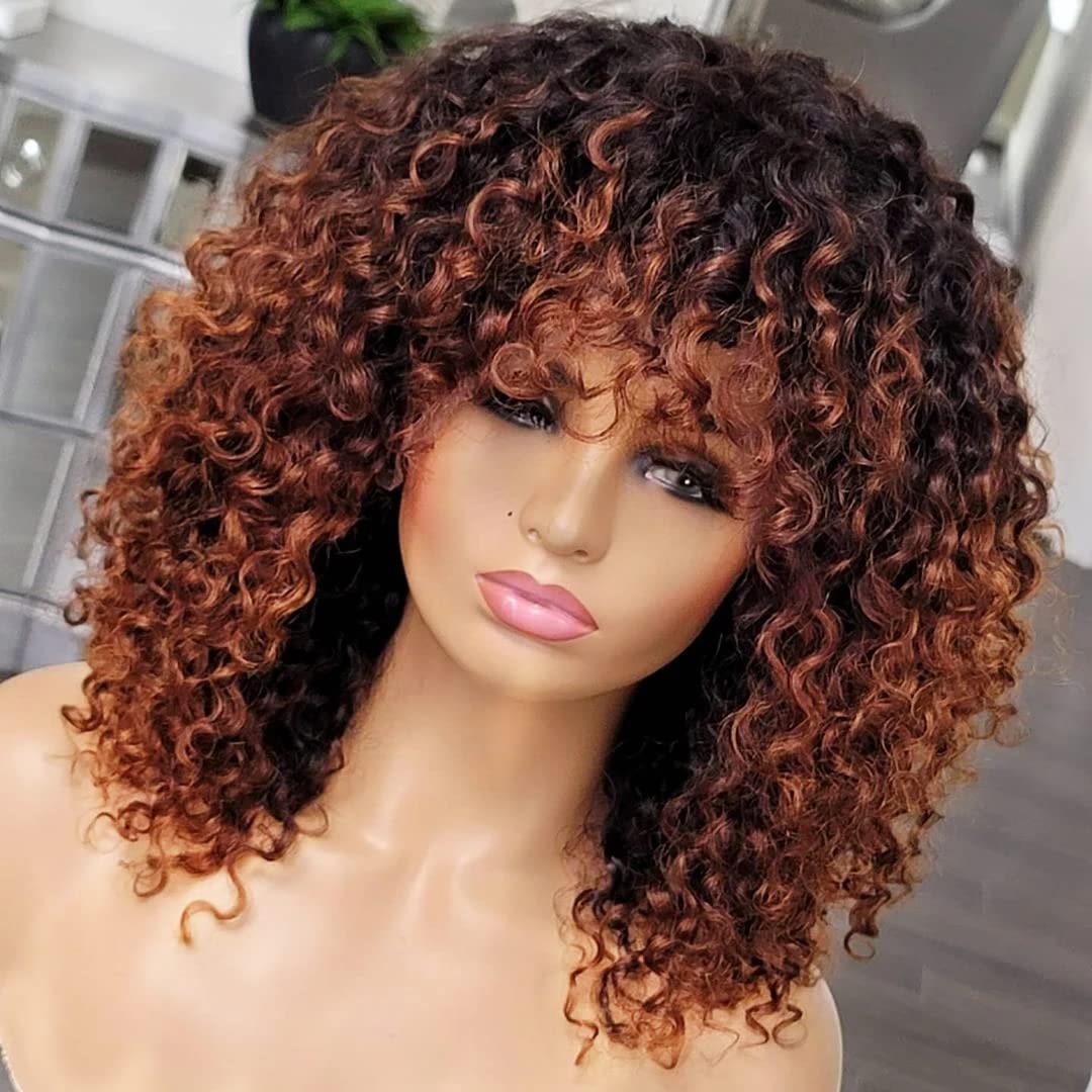 Lace Wig Afro Kinky Curly Wig Human Hair