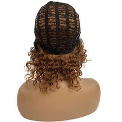 Lace Wig Afro Kinky Curly Wig Human Hair