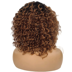 Lace Wig Afro Kinky Curly Wig Human Hair