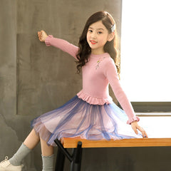 Girls Knitted Dress