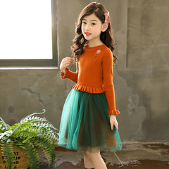 Girls Knitted Dress